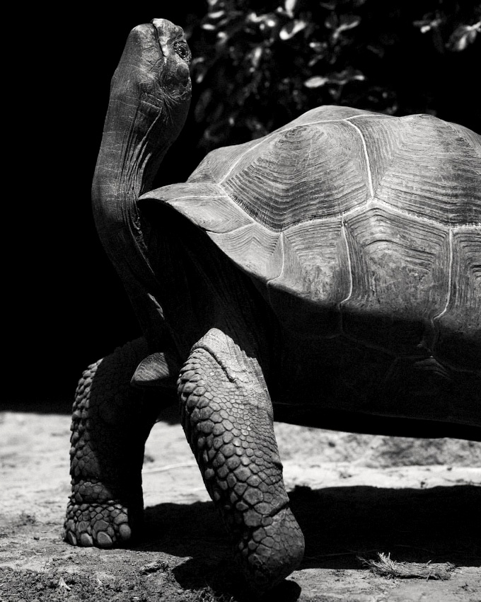 Entretenir sa flexibilit mentale... tout un art !