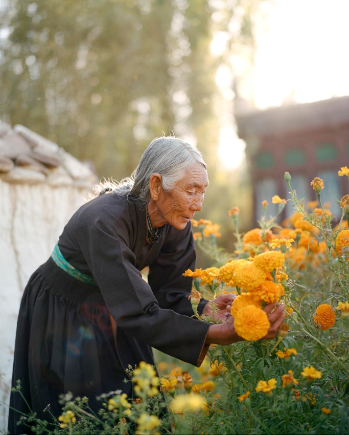 Cultiver la beaut... tout un art !