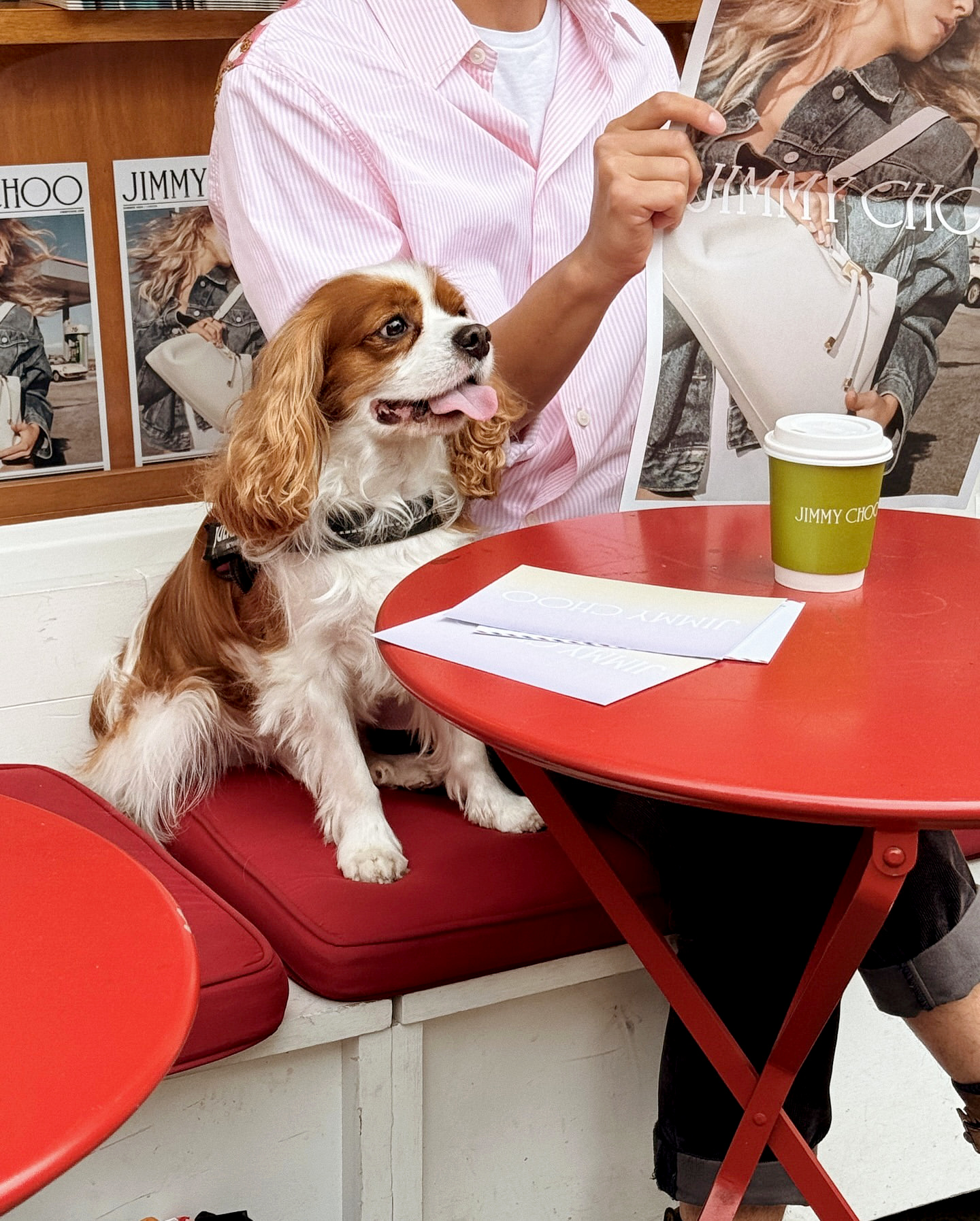 Prendre un caf en bonne compagnie... tout un art !