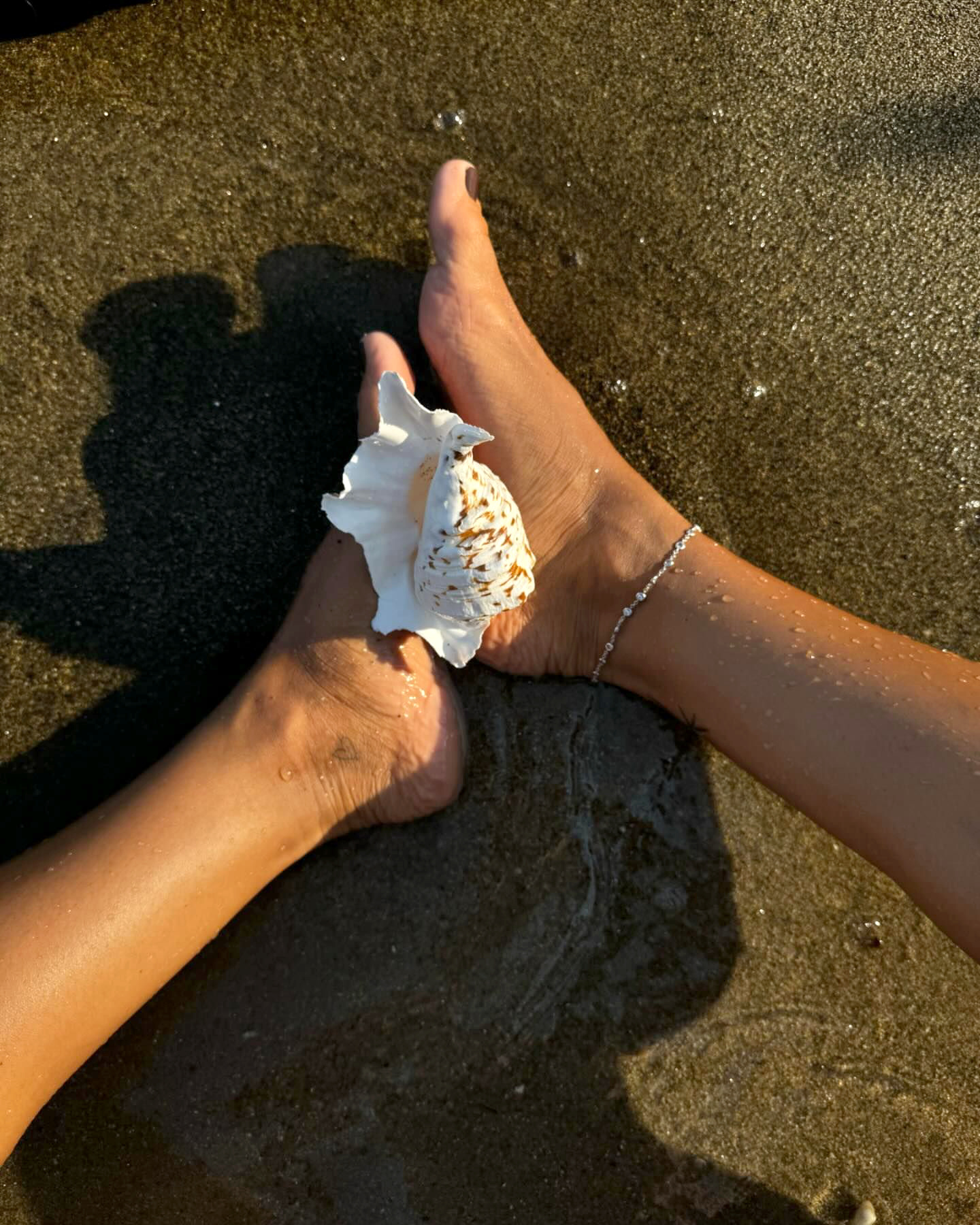 Collectionner la beaut... tout un art !