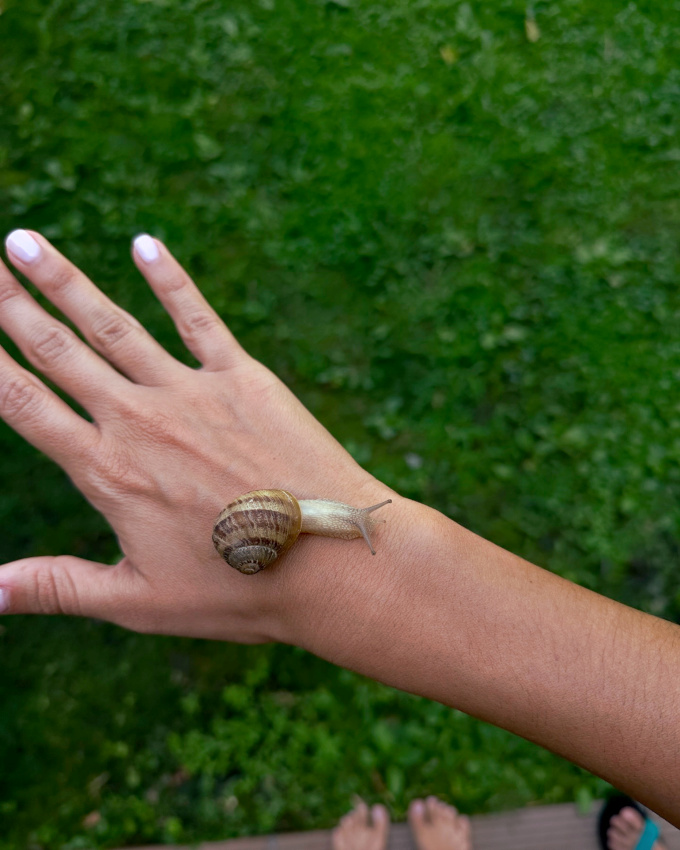 Se faire des amis... tout un art !