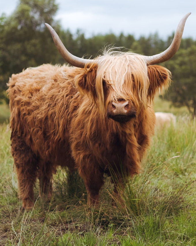 Quand aprs deux mois de soleil et d'eau sale, l'heure d'aller chez le coiffeur a sonn...
