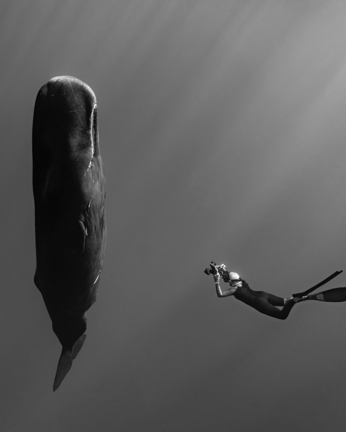 Illustration parfaite du bonheur #366