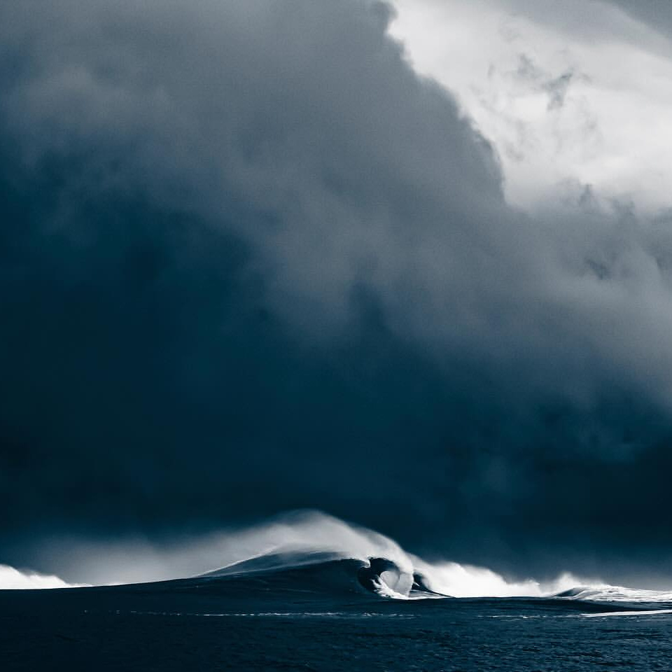 La beaut  l'tat pur #240