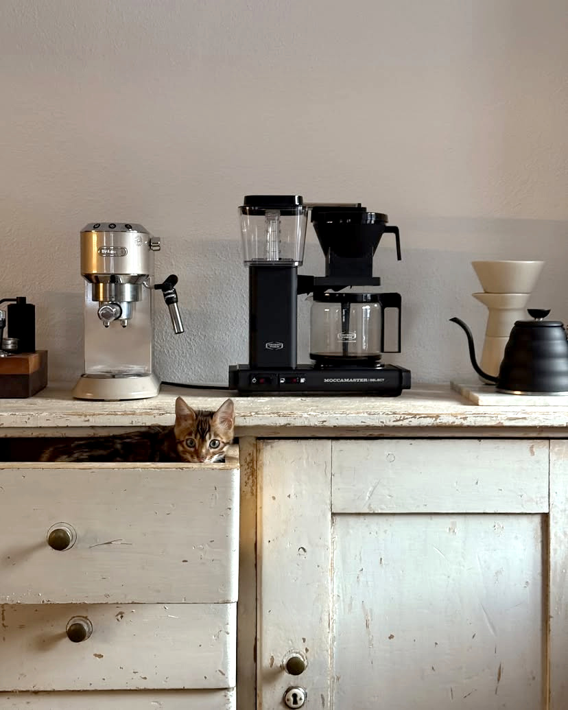 Rester discret... tout un art !