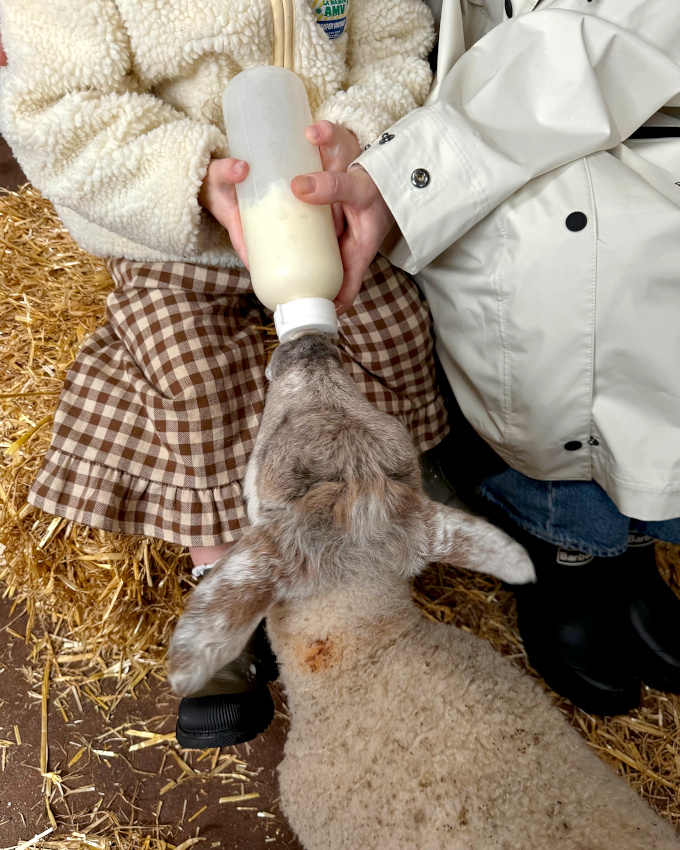 Envie de tendresse...