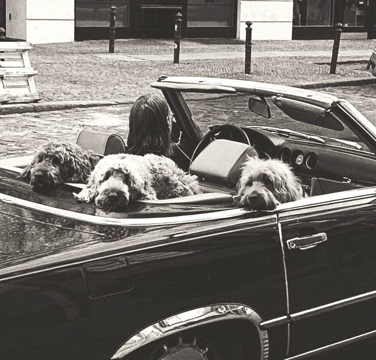 Illustration parfaite du bonheur #388