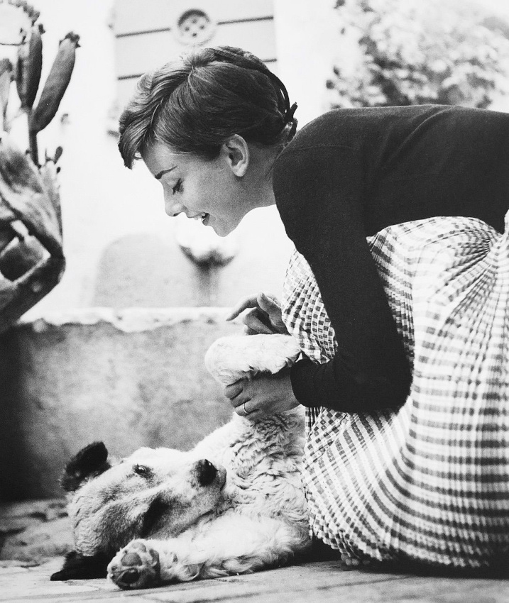 Mlant douceur, fminit et complicit, ce clich ne manque pas de charme...