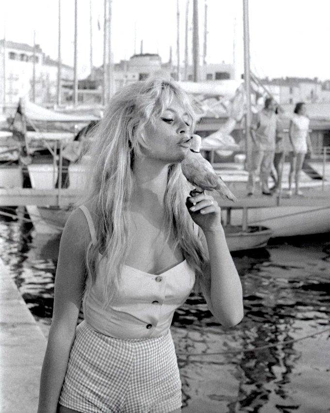 Se faire des amis... tout un art !