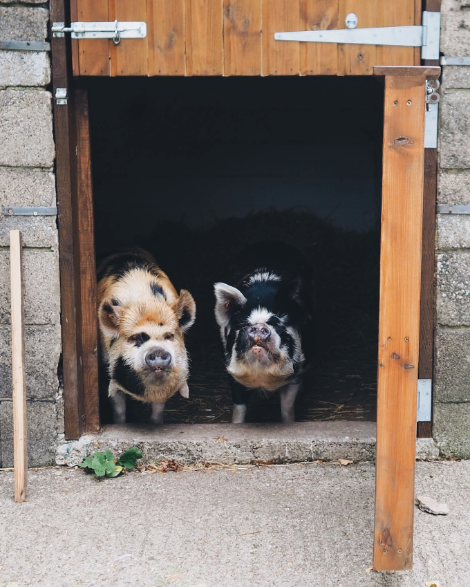 Ne pas tre du matin... tout un art !