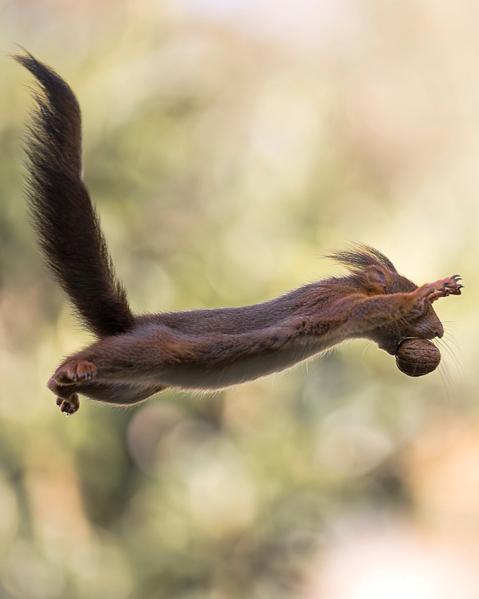 Y croire... tout un art !