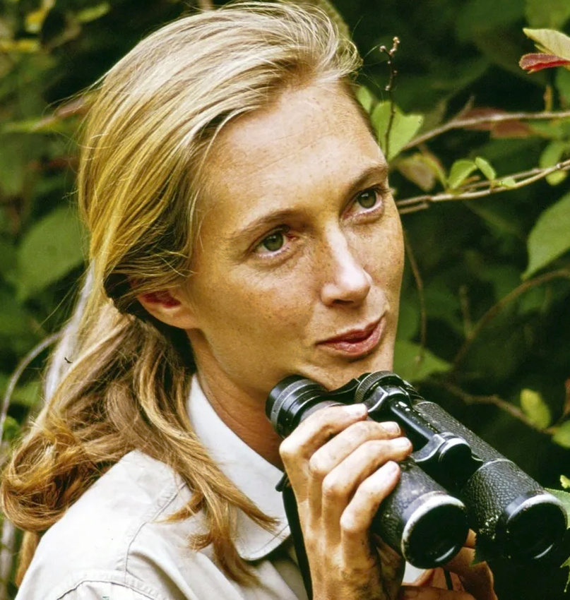 La beaut  l'tat pur #277