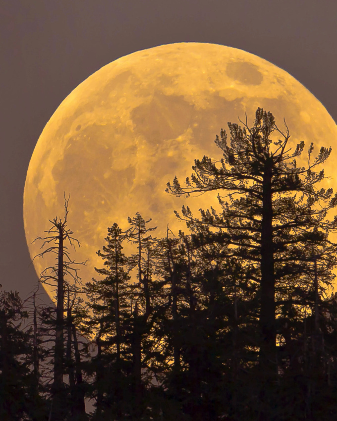 Se laisser surprendre... tout un art !