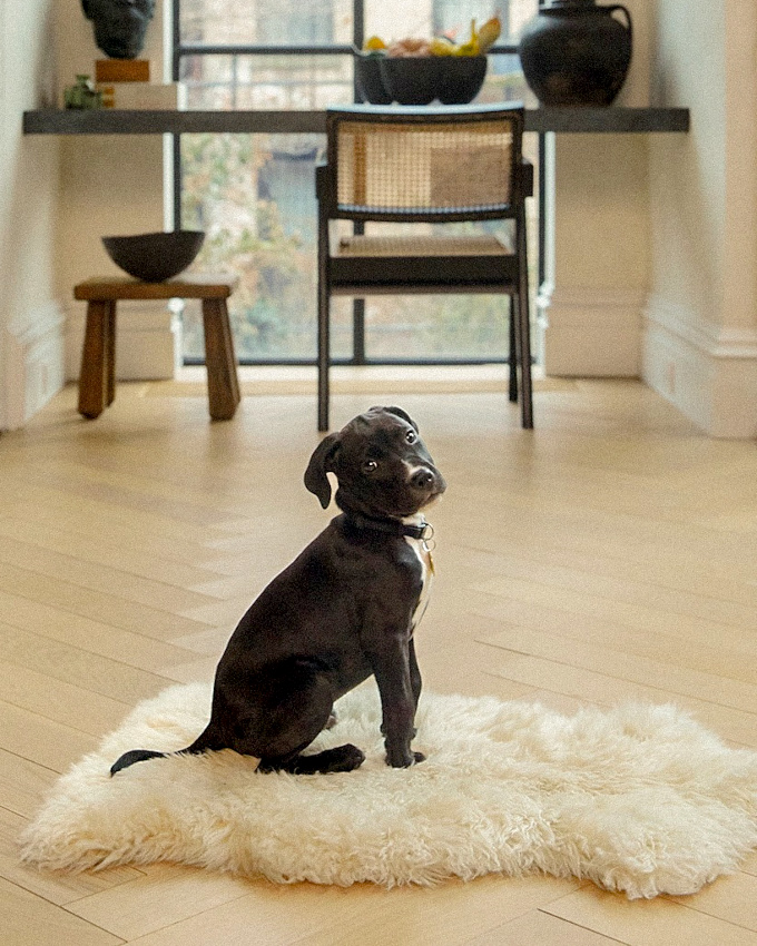 Envie de douceur inconditionnelle !