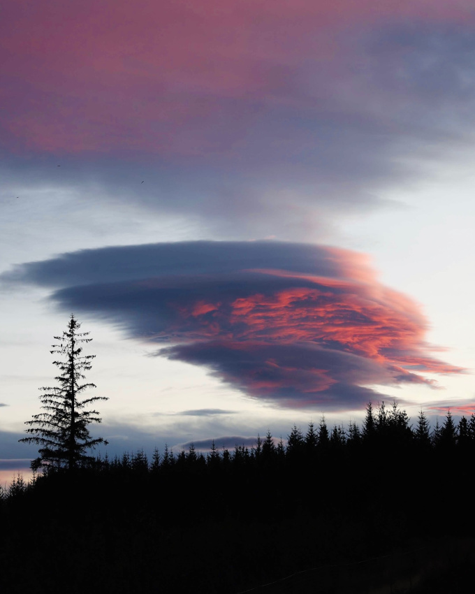 Prendre le temps d'tre reconnaissant pour la beaut folle, gnreuse et gratuite qui nous entoure...