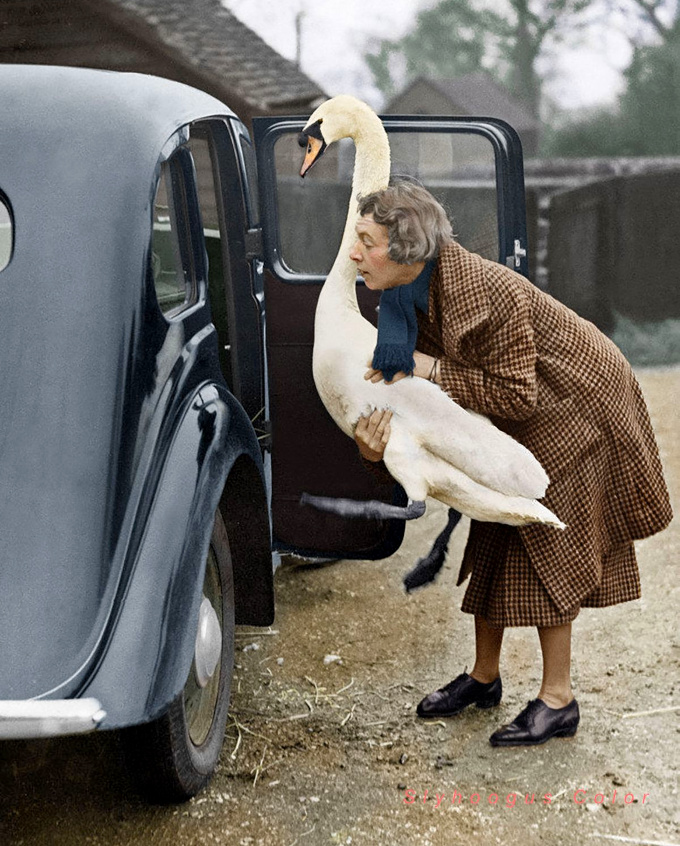 �tre optimiste... tout un art !