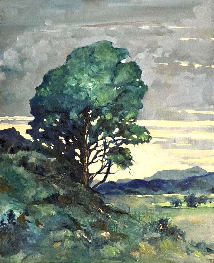 Arbre immense + ciel tourment� = le bon mix