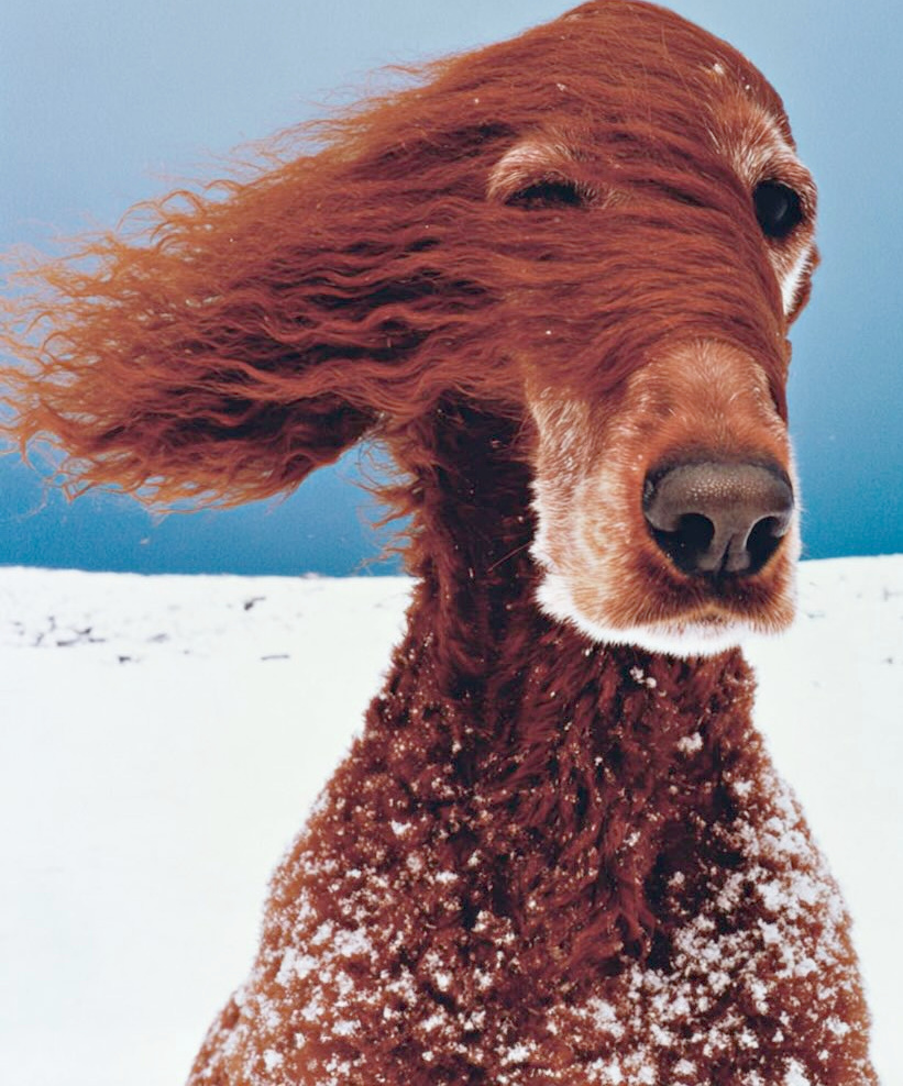 �tre dans le vent... tout un art !