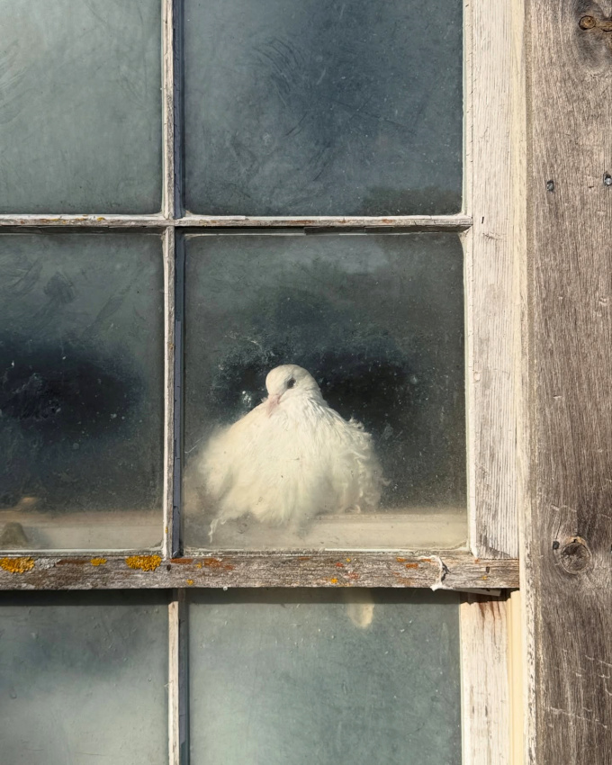 Rester au chaud... tout un art !