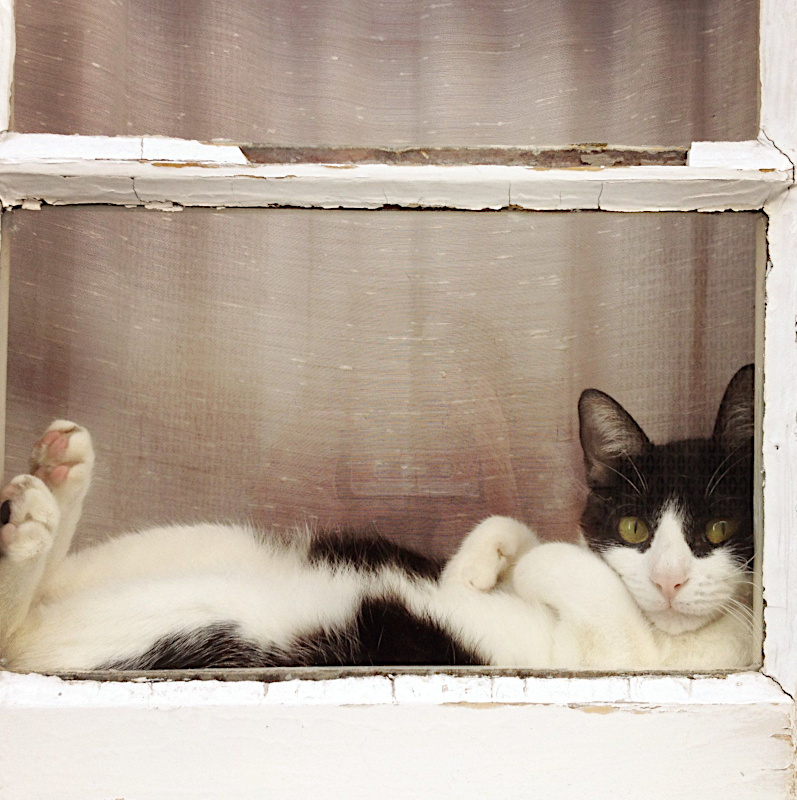 Trouver sa place... et savourer !