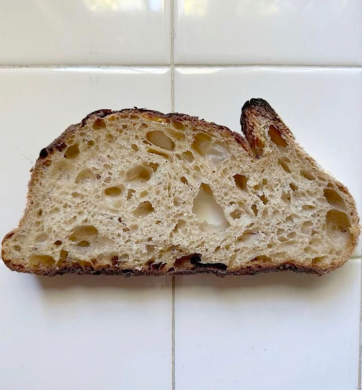 Voir la vie du bon côté... tout un art !