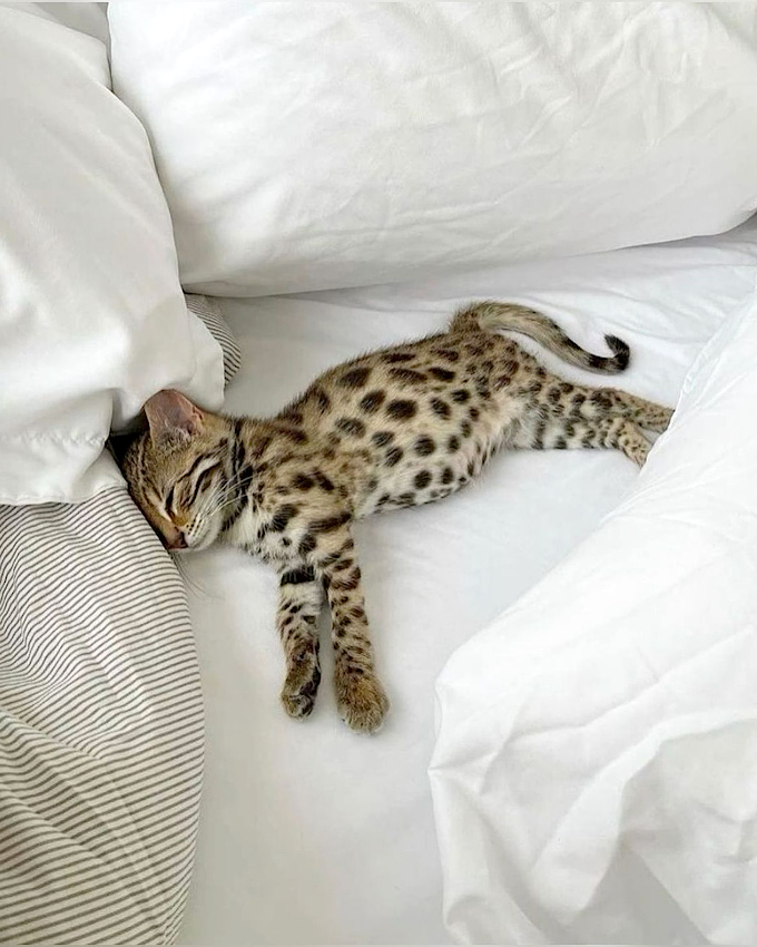 Faire un break... tout un art !