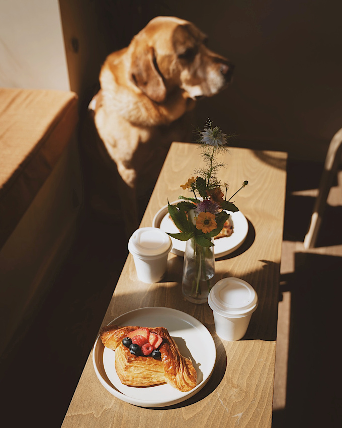 The perfect morning...