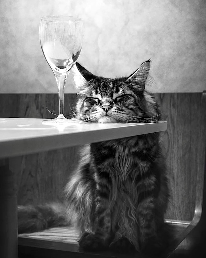 Faire un break... tout un art !